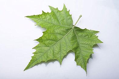 PS5 Pro正式发售 外媒体验对比PS5有何不同